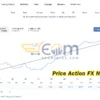 Price Action FX Live Result