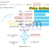 Price Action FX MT5 Live Result