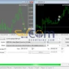 Schrodinger trading machine EA MT4 Backtest
