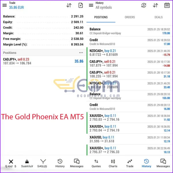 The Gold Phoenix EA Live Result