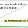 Top Performance EA MT5 Review