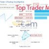 Top Trader MT5 Live Result