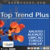 Top Trend Plus EA MT5 Logo