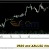 US30 and XAUUSD Hedging Scalper MT4 Backtests
