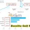 Bonnitta Gold MT5 Live Result