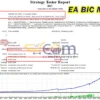 EA BiC MT4 Backtest