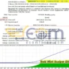 Gold Mint Scalper EA MT4 Backtest
