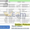 Golden Pickaxe MT5 Backtests