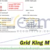 Grid King MT5 Backtest