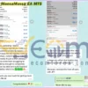 MansaMussa EA MT5 Review