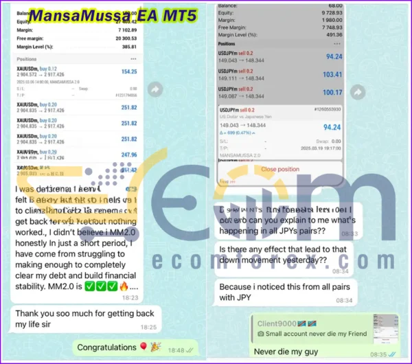MansaMussa EA MT5 Review