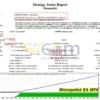 Monopolist EA Backtests