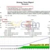 Monopolist EA MT4 Backtest