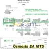 Osmosis EA MT5 Backtests
