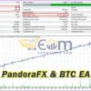 PandoraFX & BTC EA MT4 Backtests
