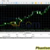Phantom X EA MT5 Review