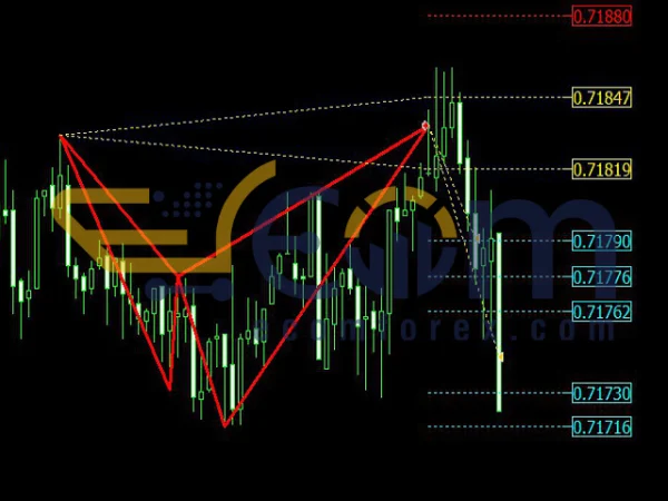 Shark Expert Advisor Reviews