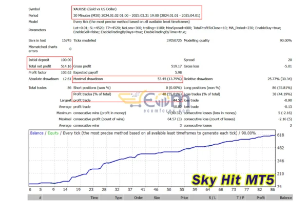 Sky Hit MT5 Backtests