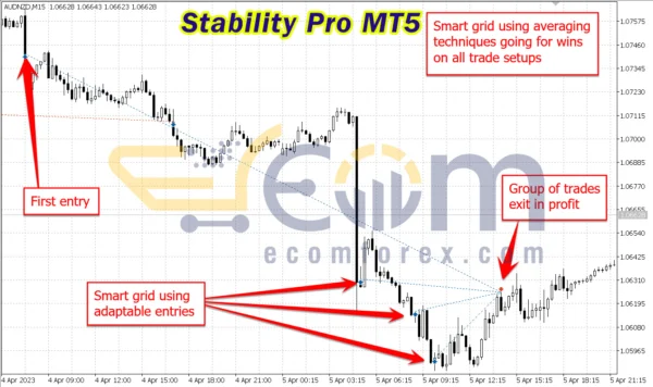 Stability Pro MT5 Review