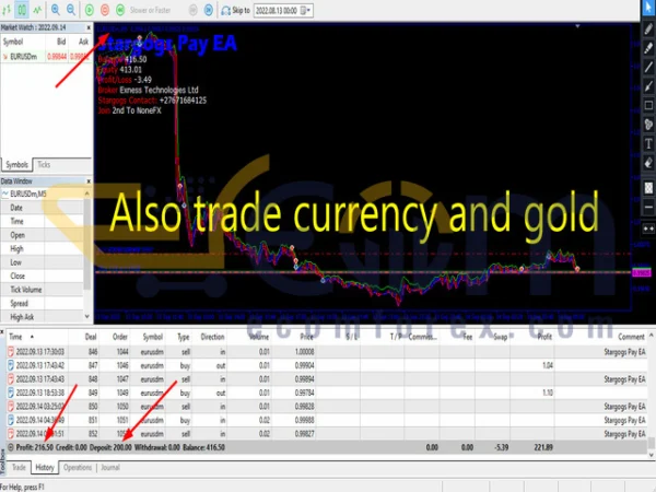 Stargogs Pay EA MT5 Review