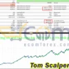 Tom Scalper MT5 Backtest
