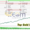 Top Gold Backtest Signal
