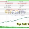 Top Gold MT5 Backtest Result