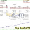 Top Gold MT5 Backtest Signal