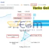 Varko Gold EA MT5 Live Result