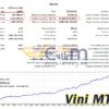 Vini MT4 Backtests