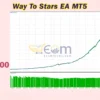 Way To Stars EA MT5 Backtests