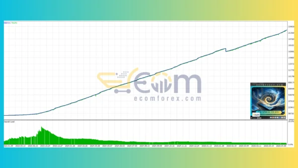 BTC Spiral MT4 Backtests