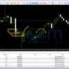 Bitcoin Robot Grid MT4 Live Trading