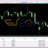Bitcoin Robot Grid MT4 Live Tradings