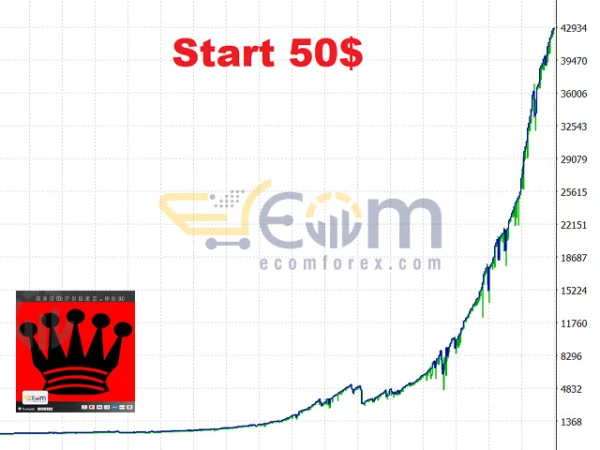 BlackQueen EA MT5 Backtests