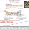 Golden Beats EA MT4 Backtest