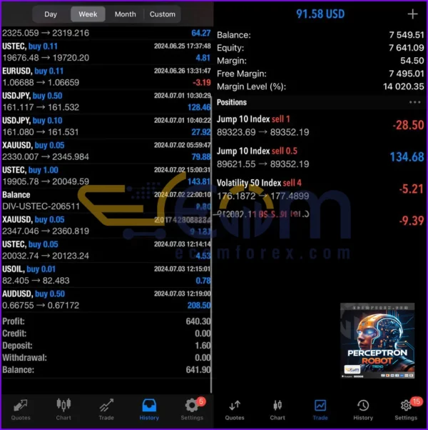 Trend Perceptron Robot MT5 Live Result