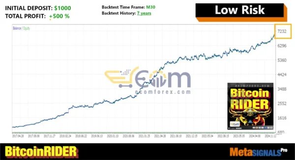 Bitcoin Rider EA MT5 Backtest