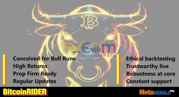 Bitcoin Rider EA MT5 Review