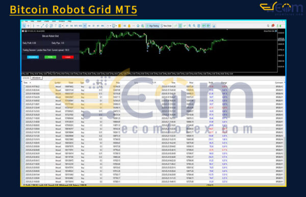 Bitcoin Robot Grid MT5 Backtest