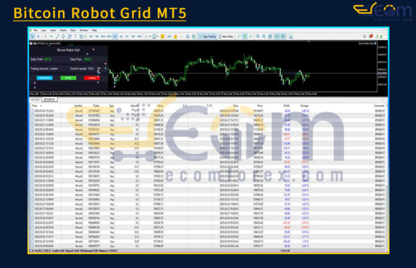 Bitcoin Robot Grid MT5 Backtests