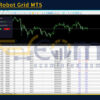 Bitcoin Robot Grid MT5 Review