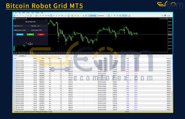 Bitcoin Robot Grid MT5 Review