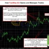 FastWay EA MT5 Reviews
