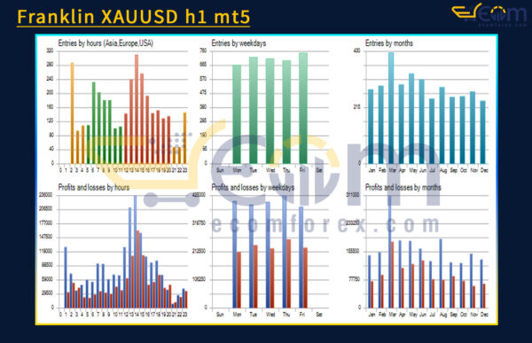 Franklin XAUUSD h1 mt5 Backtests