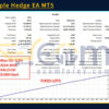 Gold Triple Hedge EA MT5 Backtest