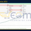 SmartChoise MT4 Backtest
