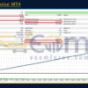 SmartChoise MT4 Backtests