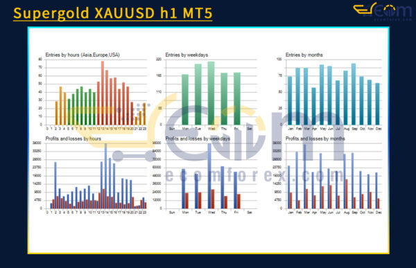 Supergold XAUUSD h1 MT5 Backtests