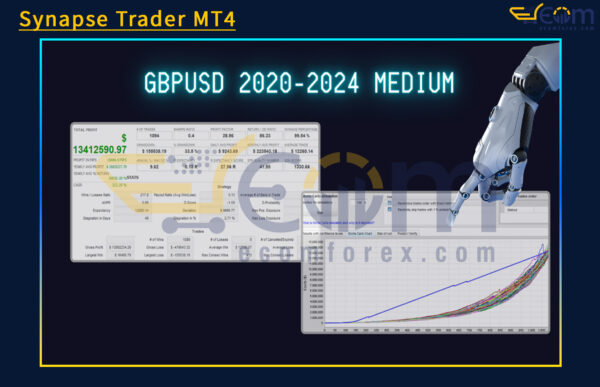 Synapse Trader MT4 Backtest